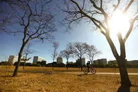 Agosto trará calor e baixa umidade no Centro-Oeste e Norte do Brasil