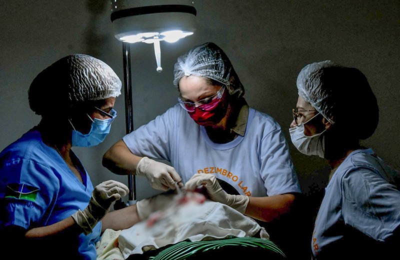 Governador autoriza prorrogação de 1,4 mil contratos temporários da saúde