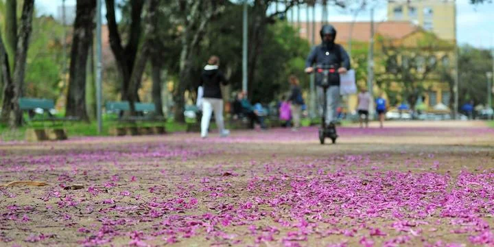  La Niña deve chegar ao Brasil na primavera com impactos variados no clima