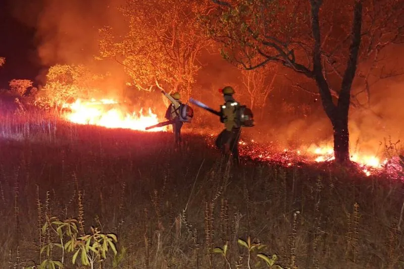 Governo Federal cria Comitê Nacional de Manejo Integrado do Fogo para combate a incêndios florestais