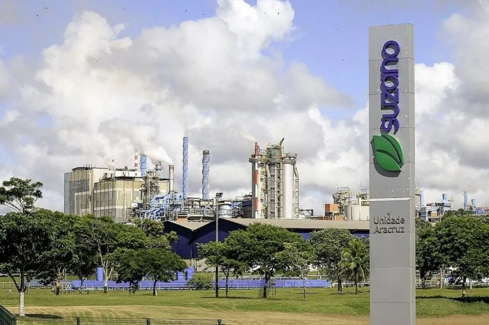 Suzano abre 64 vagas para ajudantes de viveiro em Ribas do Rio Pardo