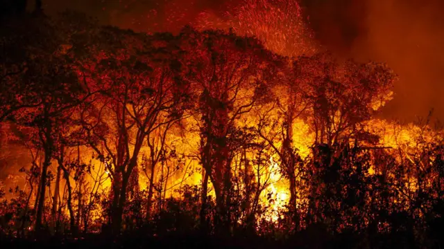 Riedel alerta sobre aumento de incêndios criminosos em meio à crise climática