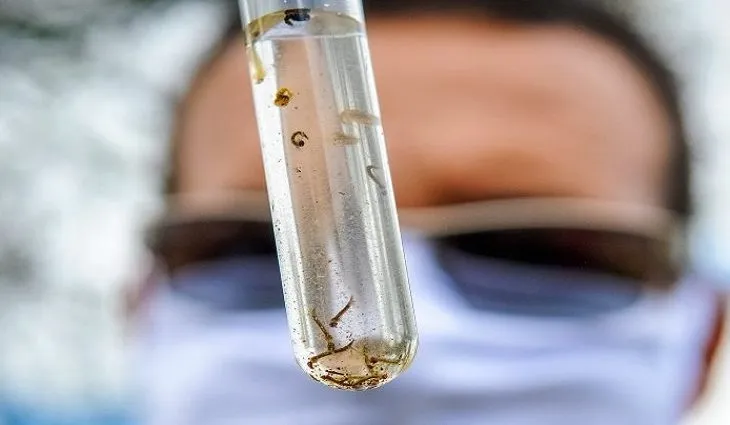 Mato Grosso do Sul registra 19 mil casos de dengue em 2024