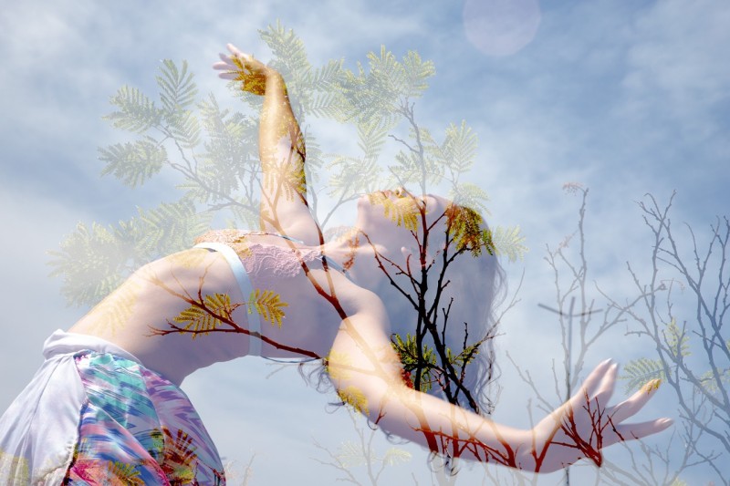 Mostra audiovisual no Recanto destaca importância de espaços verdes urbanos