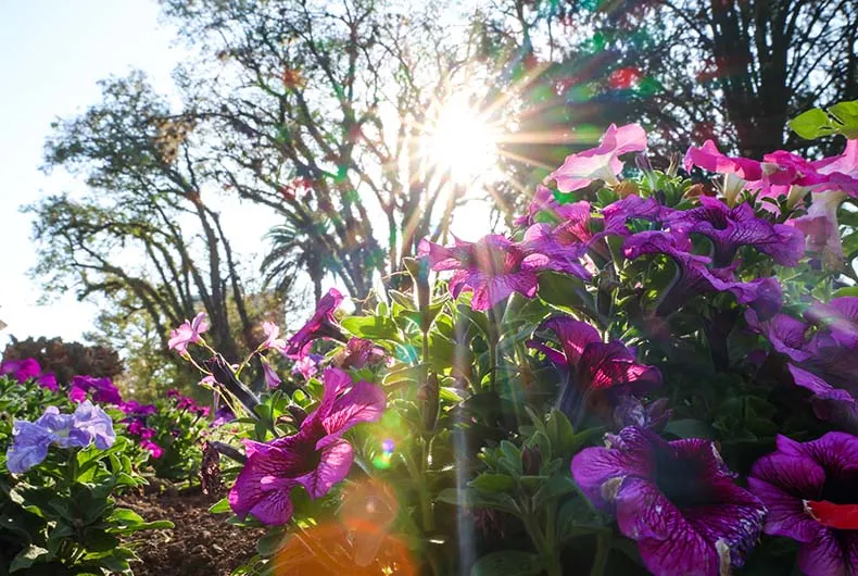 Primavera inicia com extremos climáticos: calor intenso e risco de inundação