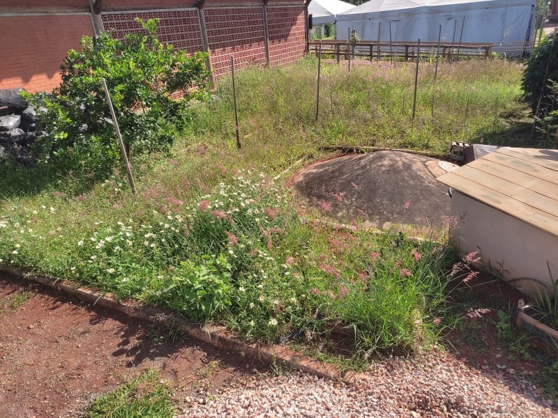 Região do Jardim Botânico terá horta comunitária e cozinha natural