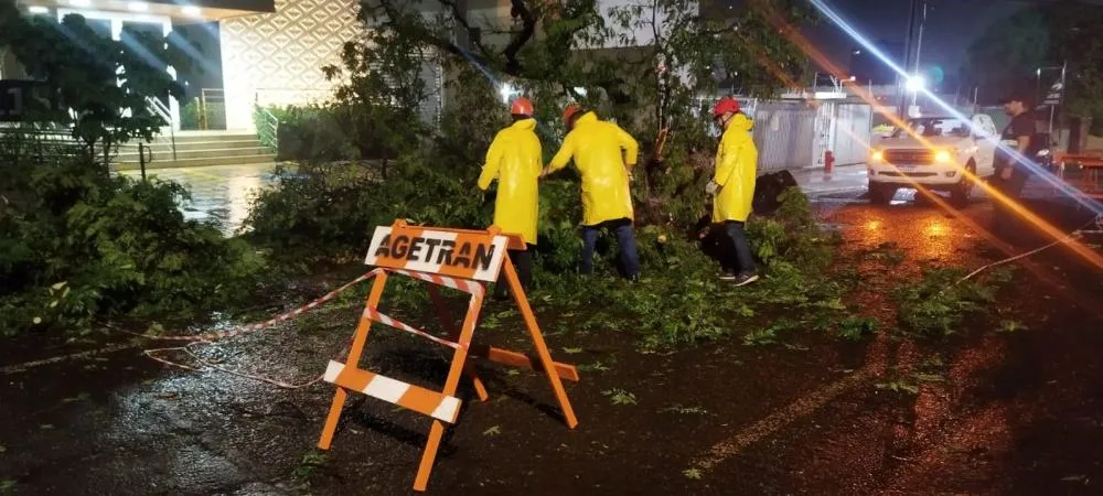 Tempestade em Campo Grande: Prefeitura mobiliza equipes para garantir segurança e normalidade