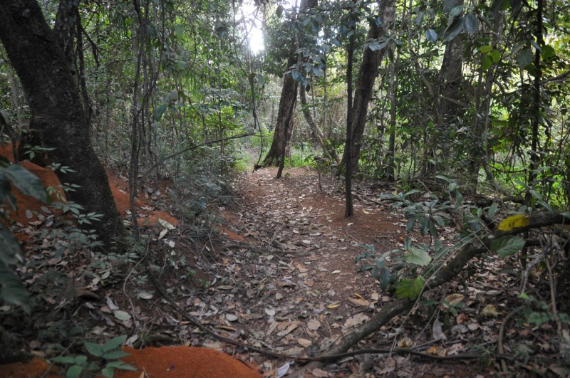 Unidade Hidrográfica do Ribeirão Sobradinho será tema de consulta pública