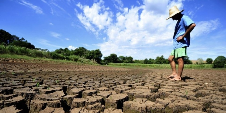 Defesa Civil de RS declara estado de emergência em 45 municípios por estiagem