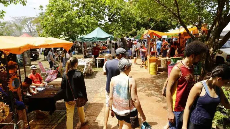 Diversão garantida neste fim de semana em Campo Grande: confira os eventos gratuitos de 8 a 10 de novembro