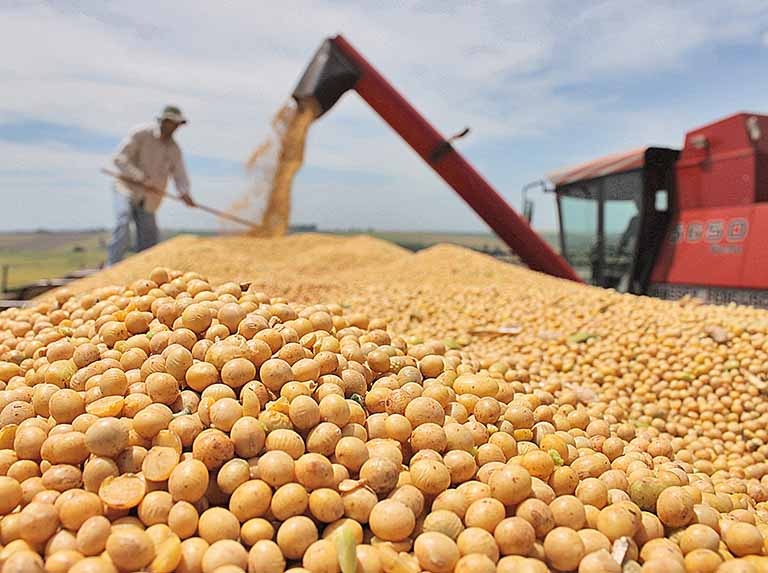 FGV registra maior crescimento do agronegócio brasileiro em 6 anos