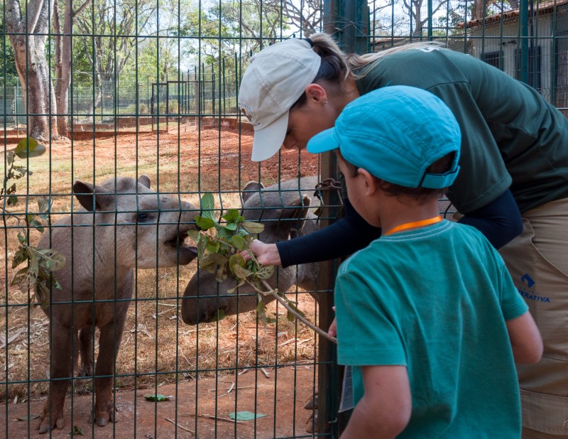 (E) Aberta temporada da Colônia de Feras, no Zoológico