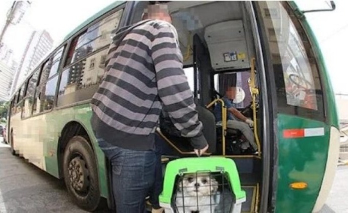 Agência orienta passageiros sobre normas para viagem com PET