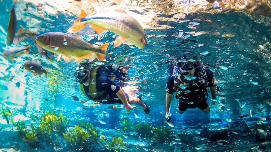 Bonito: 1º destino do ecoturismo com certificação de Carbono Neutro no mundo 