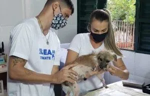 Prefeitura de Campo Grande credencia clínicas para castração de cães e gatos com custos controlados