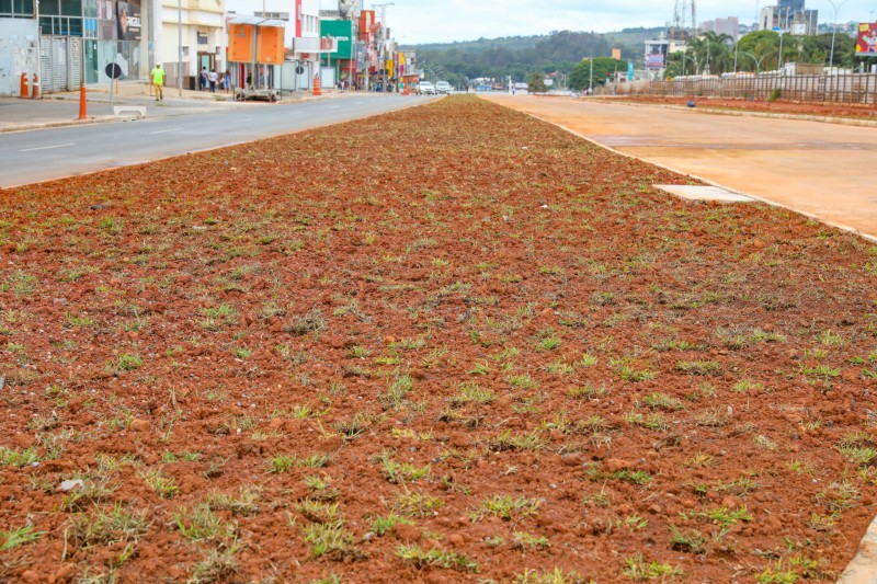 Termina o plantio de grama em metade do boulevard do Túnel de Taguatinga