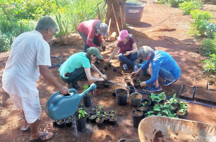 Mato Grosso do Sul inova e inclui medicamentos fitoterápicos no SUS
