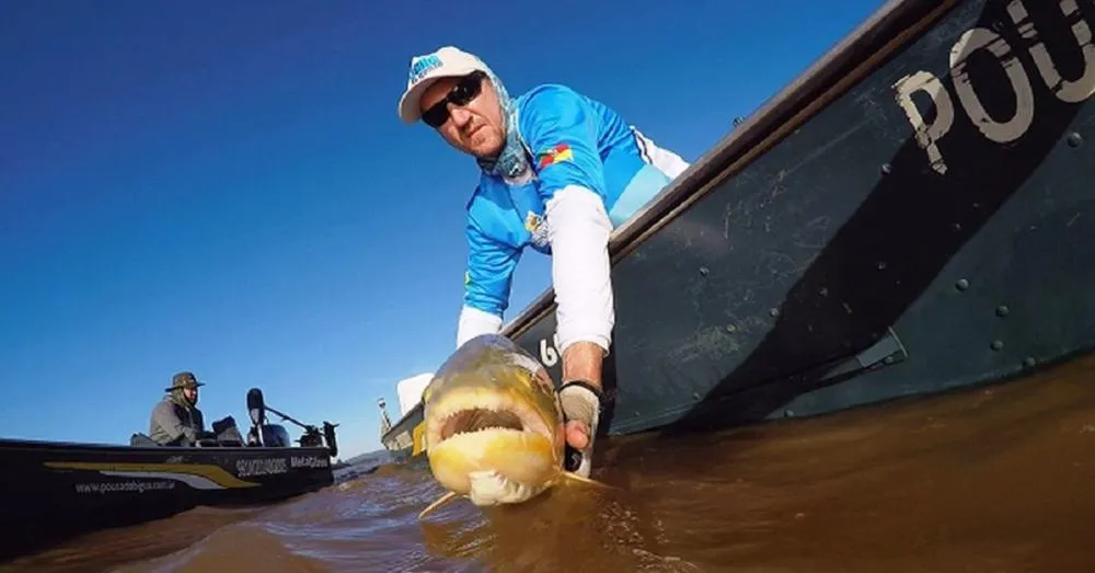 Pesca 'Pesque e Solte' é liberada no Rio Paraguai, mas defeso continua até fevereiro