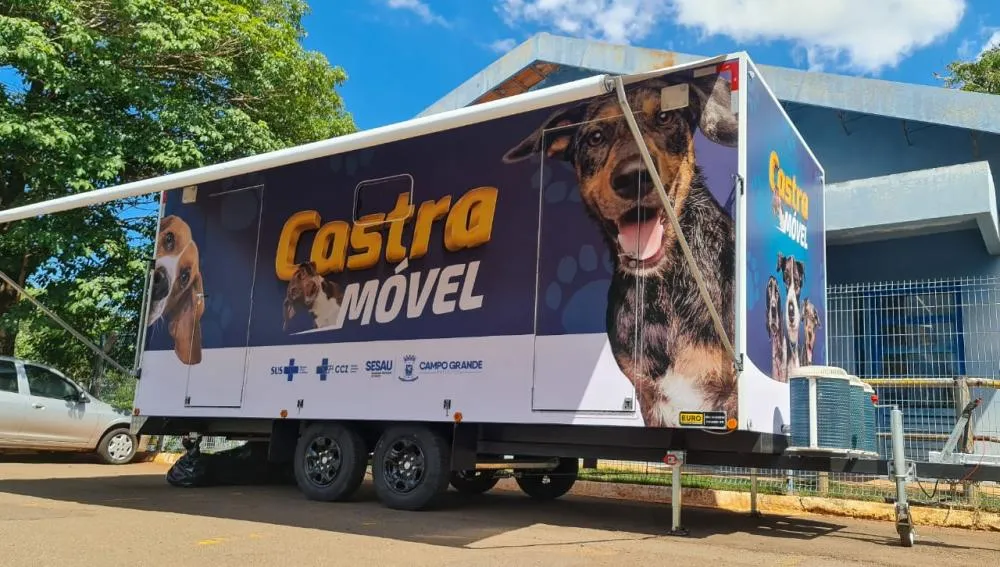 Vacinação e castração gratuita: CCZ promove ação para cuidar da saúde dos pets neste sábado