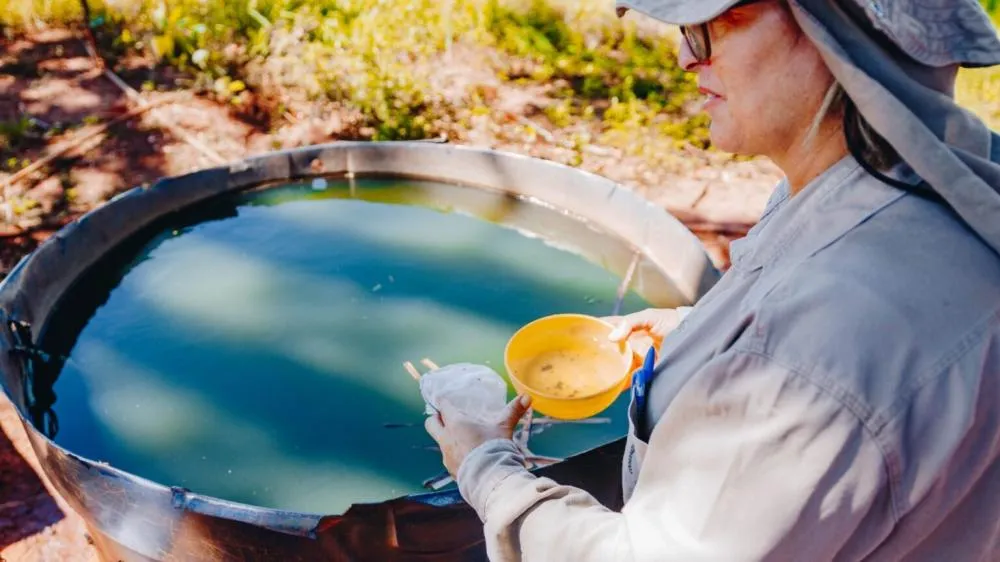 Campo Grande intensifica ações contra dengue após 517 notificações em 2025