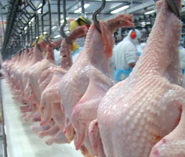Brasil é o 2º maior exportador de frango do mundo