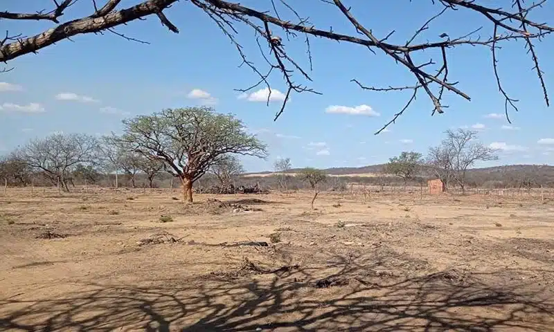 Próxima grande seca no Brasil será causada por Super El Niño, prevê meteorologista