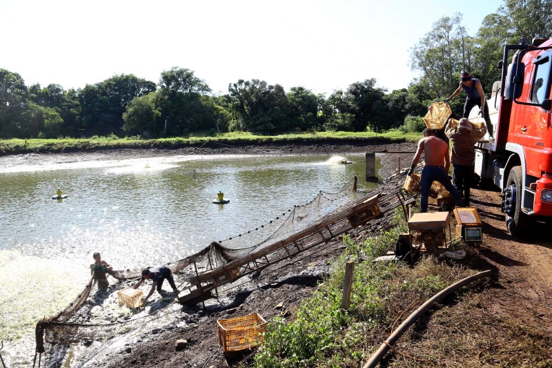 Com aumento em todas as faixas, Salário Mínimo Regional do Paraná será o maior do País