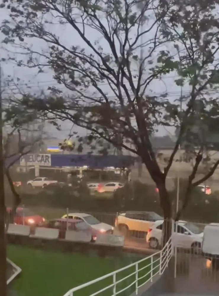 Chuva de 68 mm provoca estragos e arrasta árvore em Campo Grande