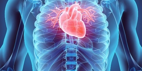 Dispositivo minúsculo de ultrassom capta imagens em tempo real