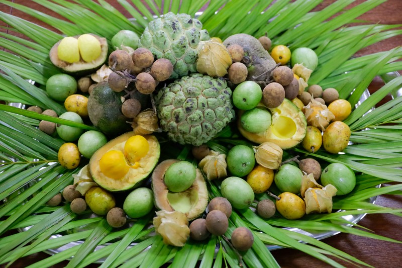 Frutos do cerrado serão incluídos na alimentação escolar em 2023