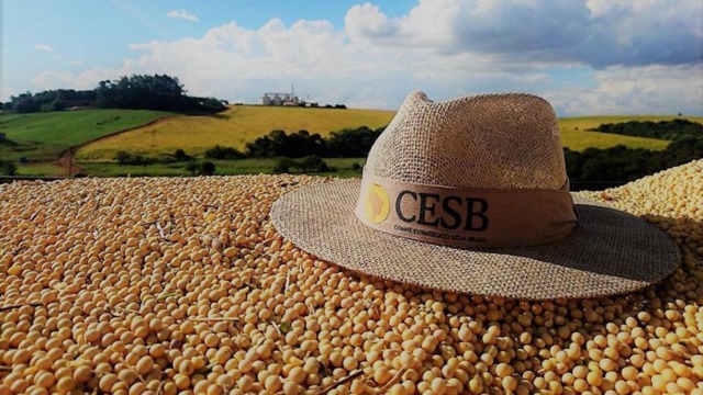 Inscrições para 15º Desafio Nacional de Produtividade da Soja encerram hoje (15)