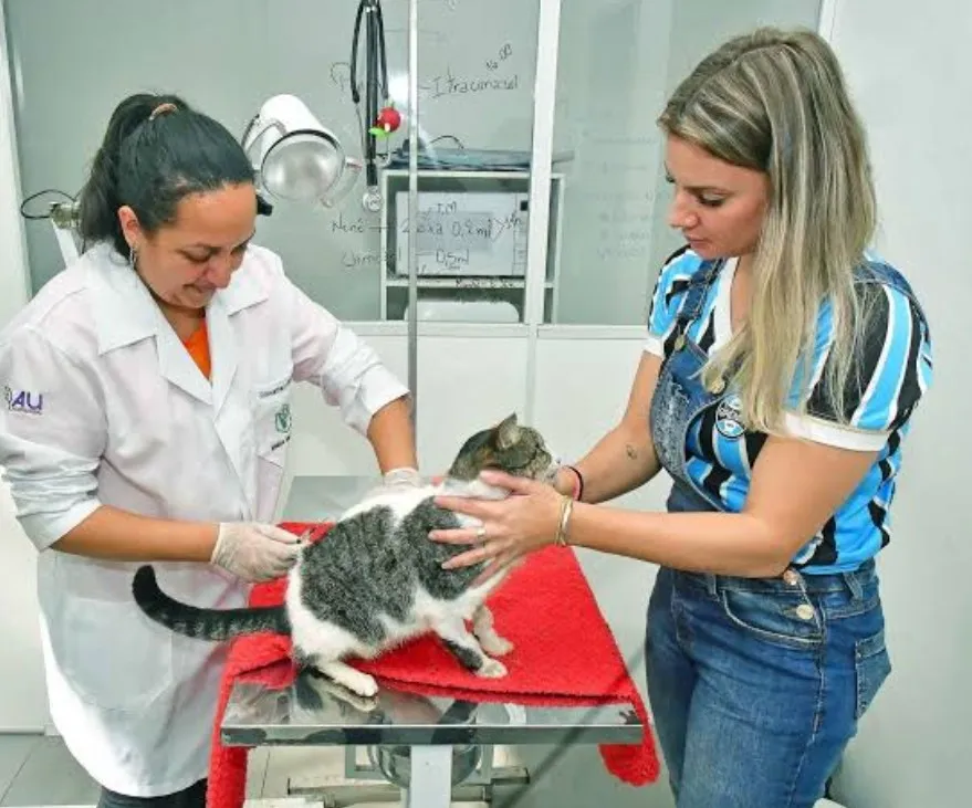 CCZ nas Ruas oferece atendimento gratuito no Jardim Noroeste nesta sexta-feira