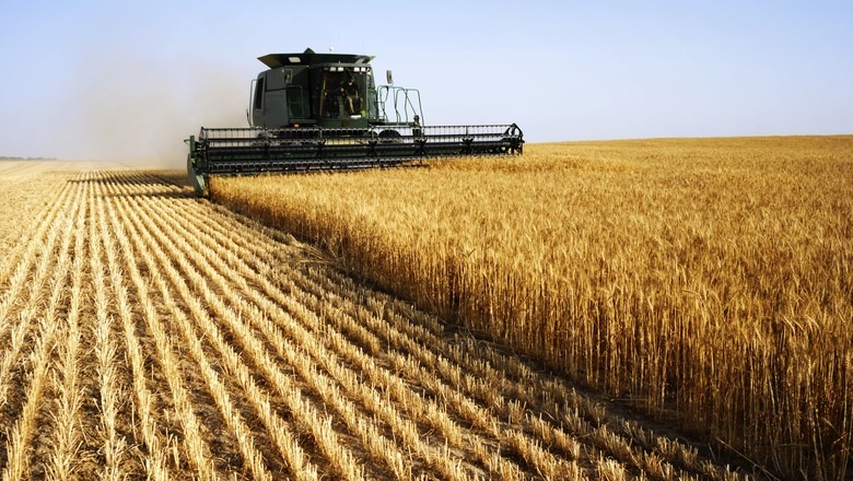 Projeção de exportação de trigo da Rússia é de 44,3 mi ton na Safra 2022/23