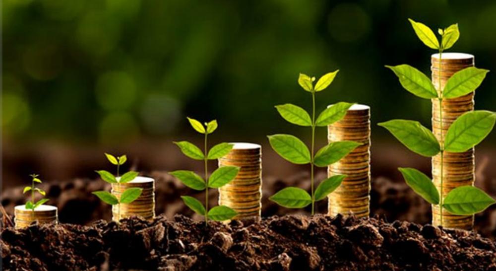 Bioeconomia pode gerar faturamento anual de US$ 284 bi até 2050