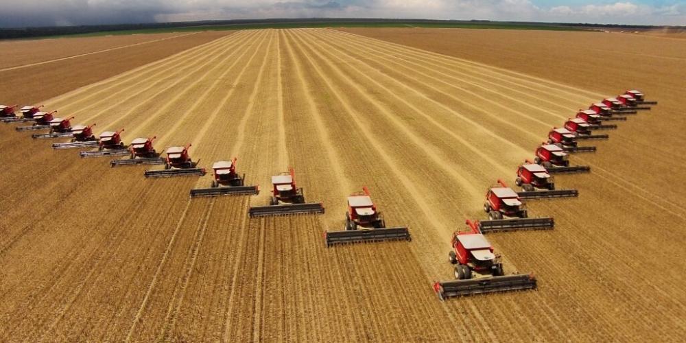 Agronegócio brasileiro emprega mais de 19 milhões de pessoas