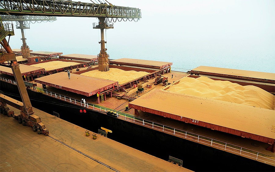 Conheça os quatro maiores produtores de grãos do mundo