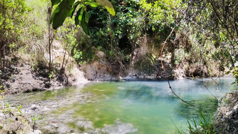 Inscrições abertas para voluntários que queiram atuar no Parque Veredinha