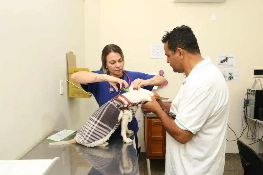 Moradores da Coophavila II terão acesso gratuito a exames para pets e controle de zoonoses
