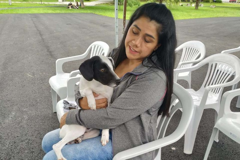 Programa CastraPet Paraná fecha agenda de janeiro com 3.664 animais atendidos