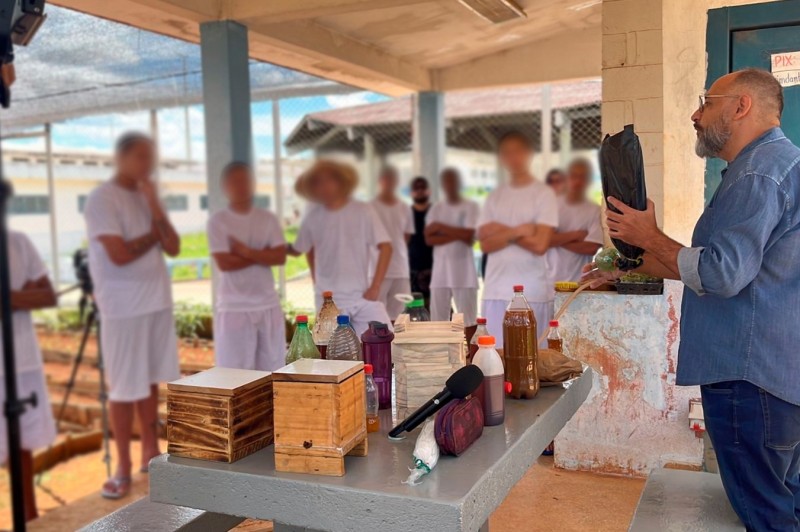Parceria qualifica jovens do sistema socioeducativo na produção de mel