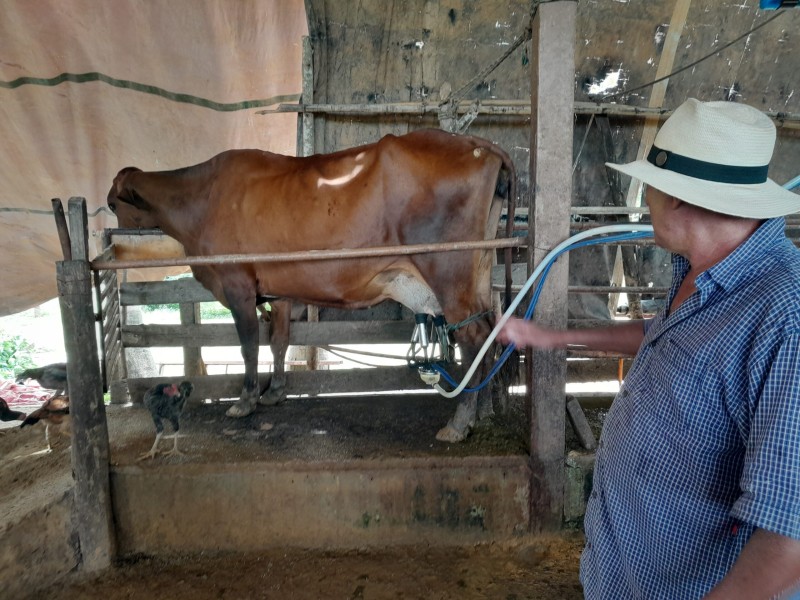 Com apoio da Emater-DF, pecuarista acessa crédito fundiário