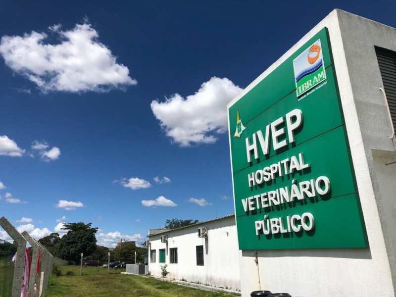 Serviço Veterinário Público manterá funcionamento normal durante a Copa