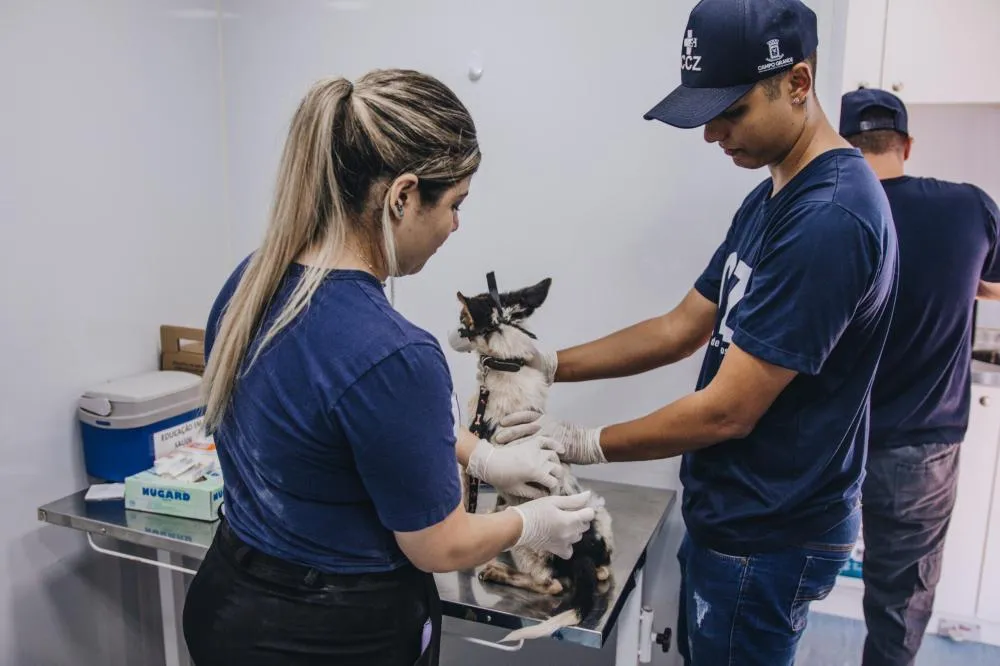 “CCZ nas Ruas” leva exames, vacinação e identificação de escorpiões à Coophavilla II nesta sexta