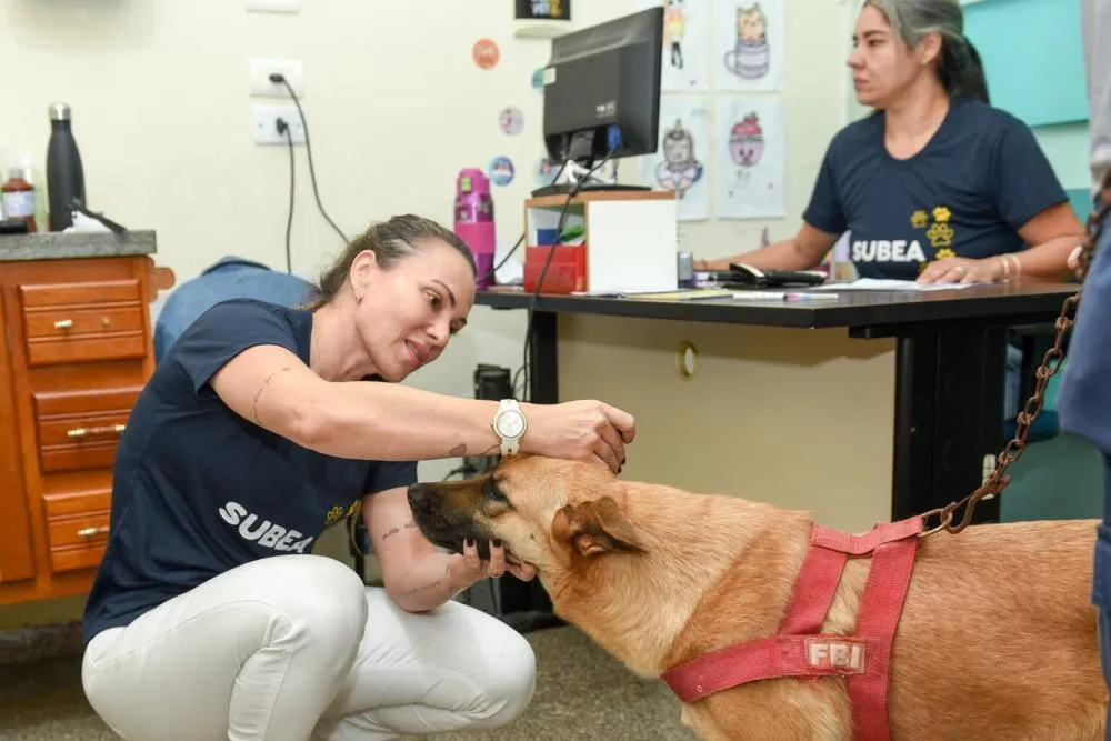 Subea leva atendimentos veterinários gratuitos, castração e adoção de pets a bairros de Campo Grande em agosto
