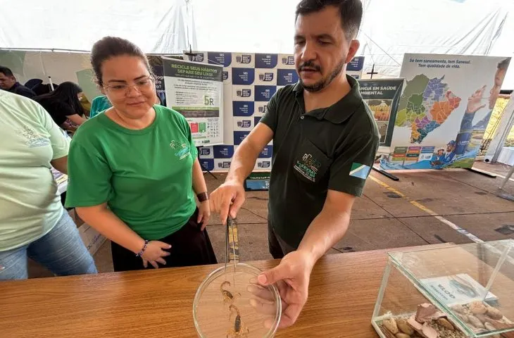 Alerta em MS: aumento de acidentes com escorpiões marca início do período mais crítico do ano