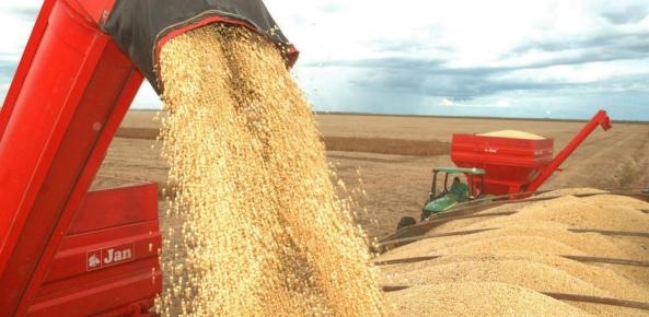 Safra de grãos da Rússia deverá cair 17% em 2023