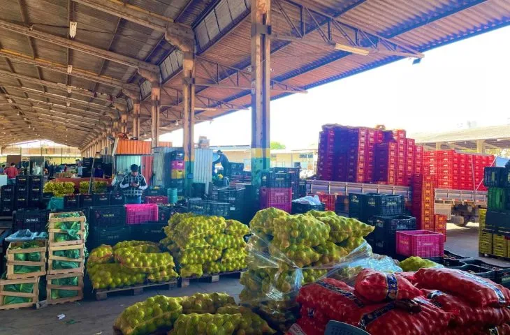 Mandioca lidera e coloca MS em destaque na Ceasa com alta de 18,7% nas vendas