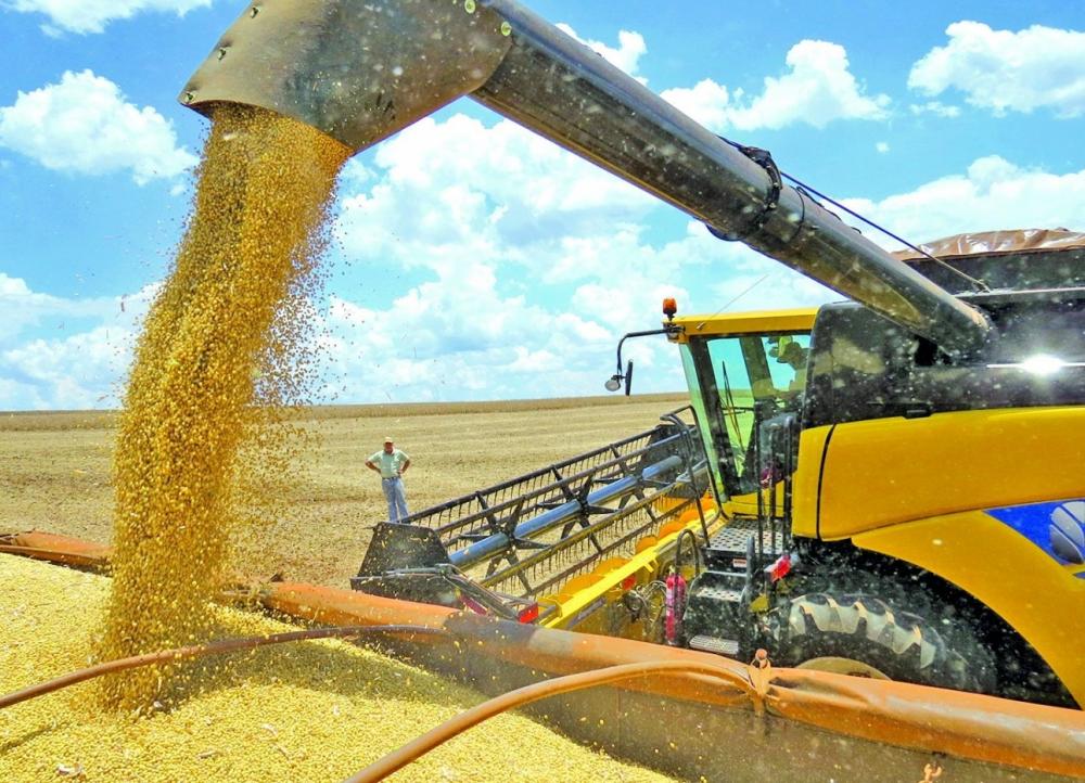 Colheita de soja 22/23 atinge 17% de área no Brasil