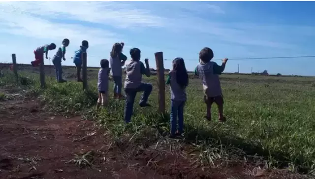Agrotóxicos ameaçam vida e subsistência de guarani-kaiowá em MS