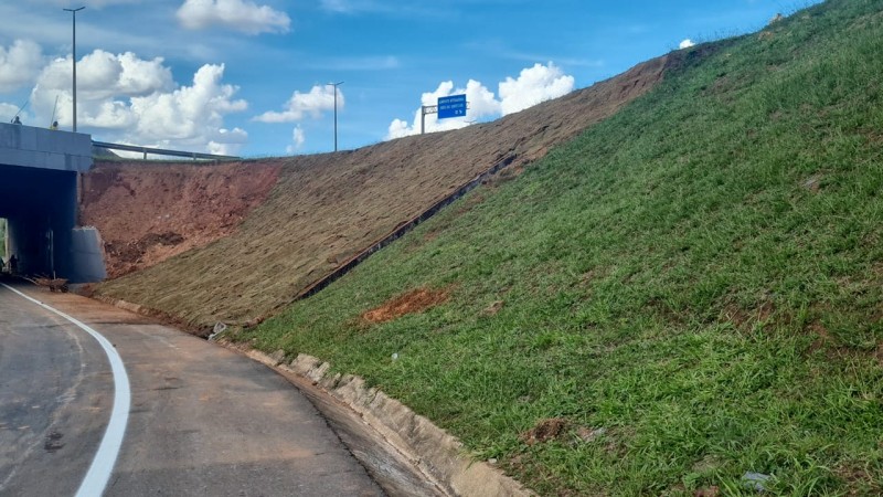 Para obras, viaduto da EPDB será bloqueado nesta quarta (15)